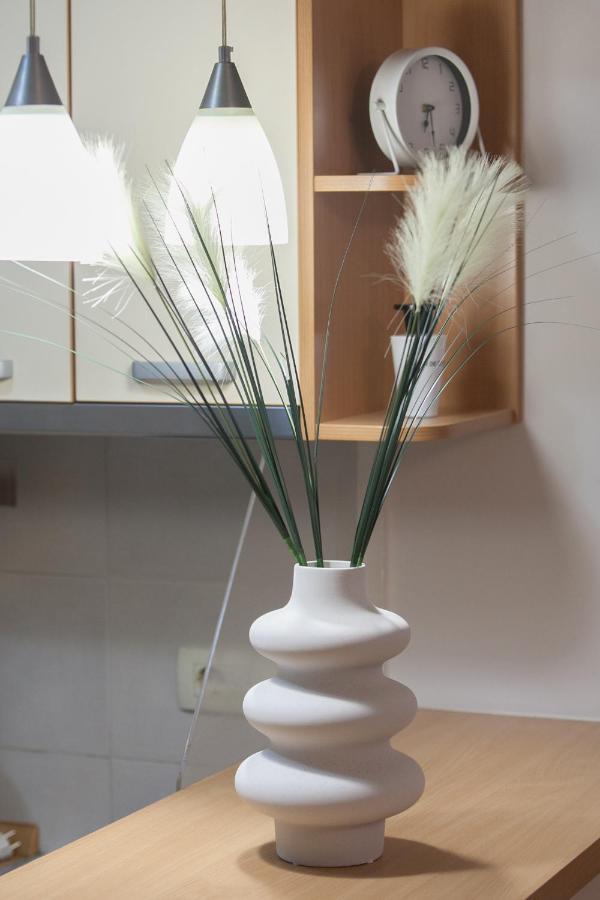 City Nest Apartment Podgorica Esterno foto